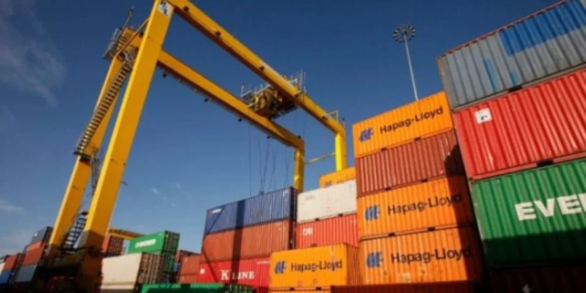 Eksportet në rënie të lirë, ndikon euro dhe rritja e kostove të lëndëve të para