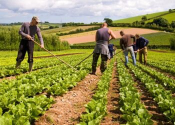 Bujqësia pa fonde! Sektori i nënfinancuar në rajon, që qeveria e konsideron prioritet