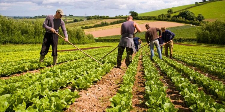 Bujqësia pa fonde! Sektori i nënfinancuar në rajon, që qeveria e konsideron prioritet