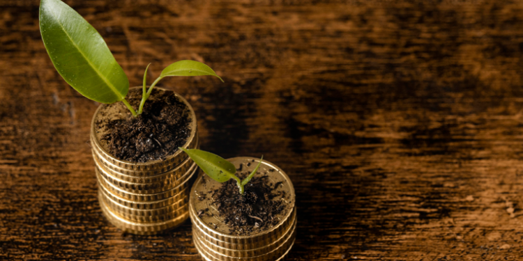 Kush e financon biznesin shqiptar? – Anketa e RCC: Mbi 90% nga burimet e brendshme, 7% nga fajdexhinjtë