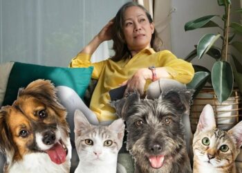 Kafshët më me fat në botë, gruaja iu lë trashëgimi 2.6 milionë euro