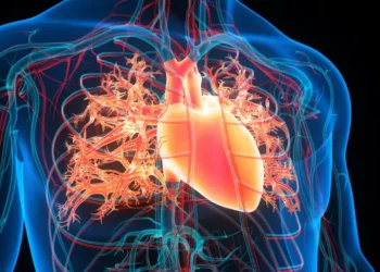 Inteligjenca Artificiale mund të parashikojë infarktet e zemrës