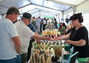 Srategjia e Agroturizmit me fokus tek gratë, tokë pa taksa dhe garanci për kreditë