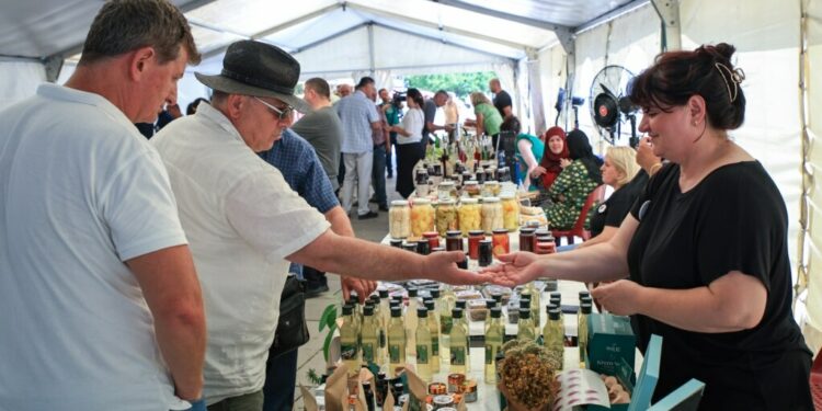 Srategjia e Agroturizmit me fokus tek gratë, tokë pa taksa dhe garanci për kreditë