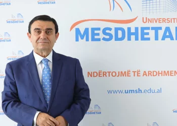 Kriptomonedhat, drejt një revolucioni në sistemin financiar tradicional