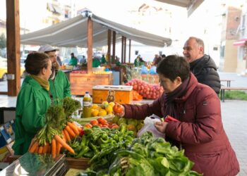 Studimi i Mikrofinancës: 74% e shqiptarëve mezi mbyllin muajin, një pjesë morën me kredi