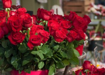 Sa shumë kushton ‘dashuria’ në Shqipëri… Trëndafilat nuk mjaftojnë më….