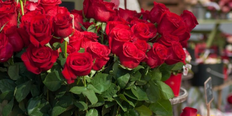 Sa shumë kushton ‘dashuria’ në Shqipëri… Trëndafilat nuk mjaftojnë më….