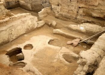 Zbulohet në Turqi “buka më e vjetër në botë”, që daton 8600 vjet më parë!