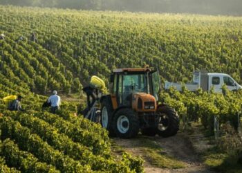 Më 27 mars hapen skemat e subvencioneve në bujqësi. Ja si mund të aplikojnë fermerët