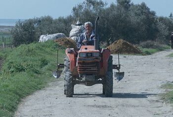 Nis skema kombëtare, bujqit dhe blegtorët shqiptarë kanë kohë deri në 19 prill për të aplikuar