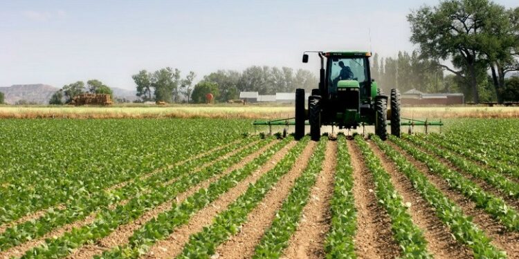 Skema kombëtare në bujqësi, ekspertët skeptikë: Nuk i zgjidh hallet, nuk i afrohemi rajonit