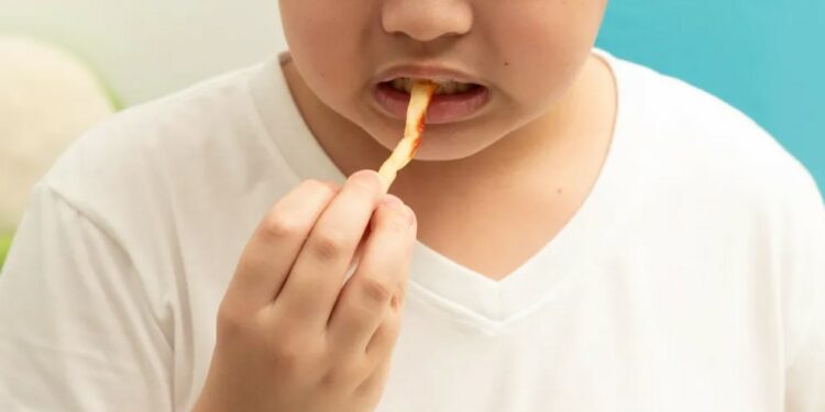 Më shumë se një miliard njerëz në mbarë botën vuajnë nga obeziteti