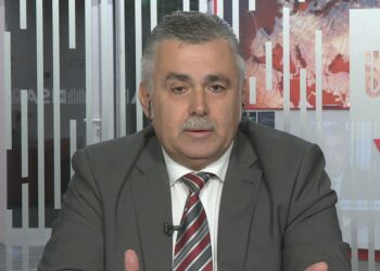 Skema kombëtare në bujqësi, eksperti Pilku: Vlera shumë e ulët, nuk mbështet aktivitetet me potencial zhvillimi