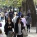 Papunësia tek të rinjtë arrin 22%, kryesojnë meshkujt