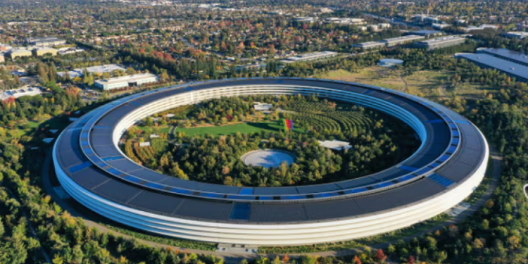 Apple dëbon mbi 600 punëtorë nga puna – çfarë po ndodh te gjiganti teknologjik amerikan?