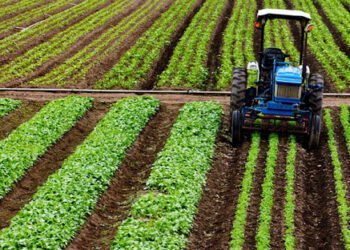 Subvencionet në bujqësi, hyn në fuqi udhëzimi: Ja si do të aplikojnë në grup fermerët