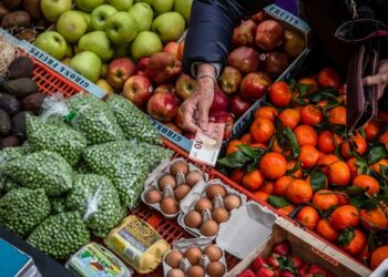 Pritet ulje e çmimeve të ushqimeve, janë shtuar furnizimet kryesisht me grurë dhe misër