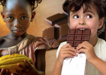 A është çokollata lumturi?  Ja cfarë thotë industria