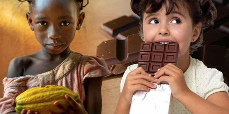 A është çokollata lumturi? Ja cfarë thotë industria