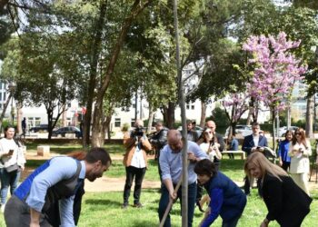 Fibank zbaton premtimin për mbjelljen e një peme për çdo pjesëtar të familjes që merr një kredi hipotekore