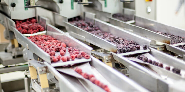 Rritja e kostove dhe rënia e euros çon industrinë përpunuese në pikiatë