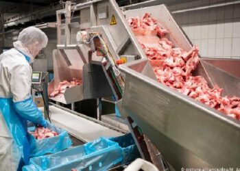 Për çfarë ankohen më shumë punonjësit shqiptarë? – U vonohen pagat dhe nuk u paguhen sigurimet shoqërore