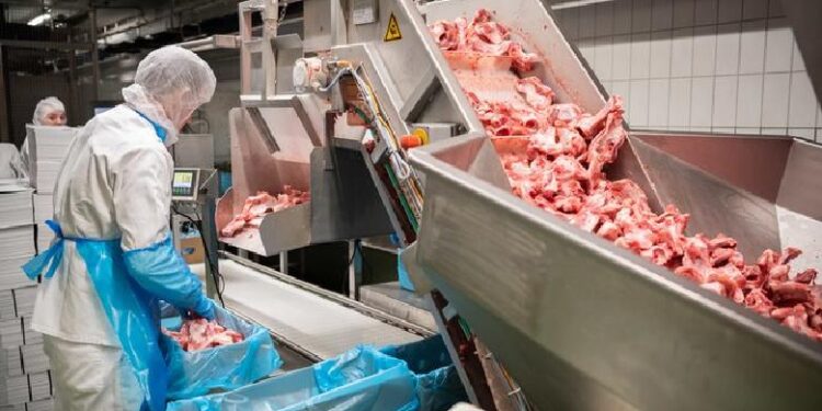 Për çfarë ankohen më shumë punonjësit shqiptarë? – U vonohen pagat dhe nuk u paguhen sigurimet shoqërore