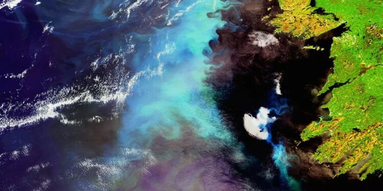 Pse oqeanet e botës po ndryshojnë ngjyrë?