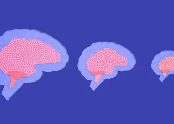 Truri i njerëzve modernë është zvogëluar dhe ja arsyeja …