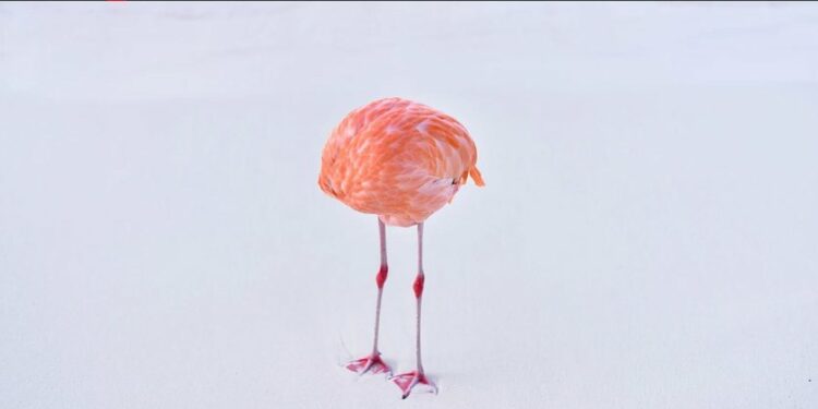 Foto e shkrepur nga njeriu fiton çmim në konkursin e Inteligjencës Artificiale, mesazhi i fortë i artistit