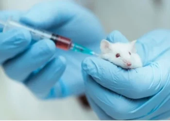 Mund të zgjatet jeta? Ja zbulimet e fundit të shkencës