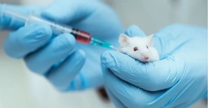 Mund të zgjatet jeta? Ja zbulimet e fundit të shkencës