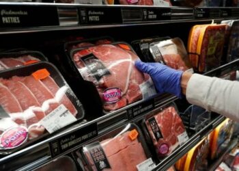 Virusi që ka prekur shpendët, Shqipëria ndalon importin e mishit nga Brazili