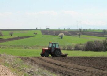 Shqipëri, fermerët e vegjël sfidojnë vështirësitë për të mbështetur turizmin