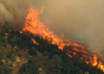 Situata me zjarret, BE do të ofrojë mbështetje urgjente për Shqipërinë dhe Greqinë
