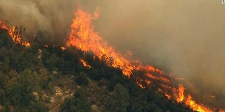 Situata me zjarret, BE do të ofrojë mbështetje urgjente për Shqipërinë dhe Greqinë