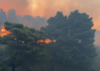 Vetëm 1,5 milionë lekë për t’u mbrojtur nga zjarret