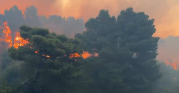 Vetëm 1,5 milionë lekë për t’u mbrojtur nga zjarret