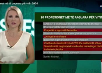 10 profesionet më të paguara për vitin 2024