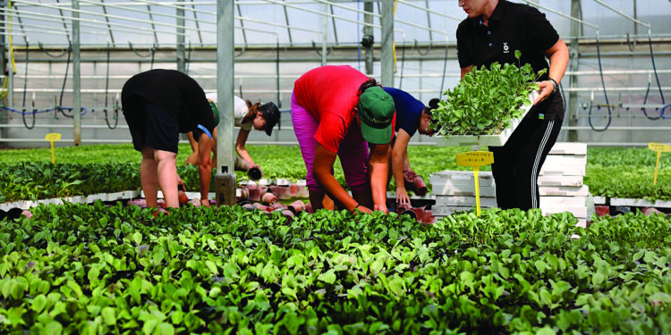 Kriza e prodhimit/ Bujqësia shqiptare më e nënfinancuara në rajon