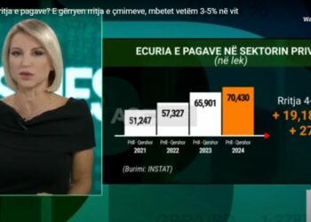 SHIFRAT | Rritja e pagave? E gërryen rritja e çmimeve, mbetet vetëm 3-5% në vit