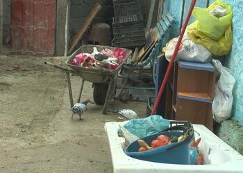 Shqipëria mbetet e varfër, qeveria ngre struktura për analizë statistikash dhe adresim