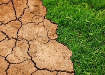 Përjetuam verën më të nxehtë në histori?! Paralajmërimi i “Copernicus”