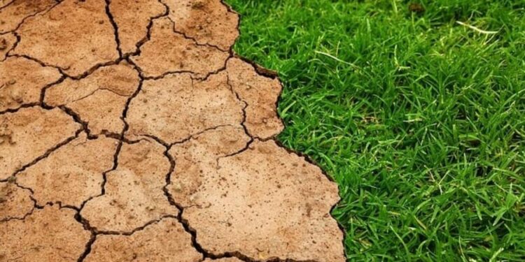 Përjetuam verën më të nxehtë në histori?! Paralajmërimi i “Copernicus”