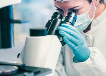 10 nga zbulimet shkencore më të fundit