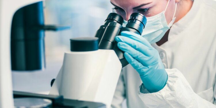 10 nga zbulimet shkencore më të fundit