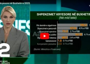 Shpenzimet në buxhetin 2025, ku do të përdoren paratë e shqiptarëve?