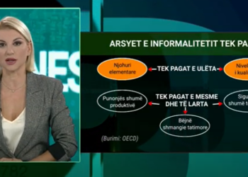 SHIFRAT | Shkalla e informalitetit në Shqipëri, kush preket më shumë? A ndikuan edhe taksat e larta?