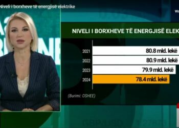 Borxhet e energjisë/ Familjarët dhe bizneset i paguajnë, problem shteti